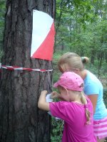 Piesza wycieczka do lasu. Zabawa na orientację